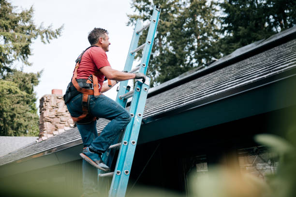 4 Ply Roofing in Hollywood Park, TX