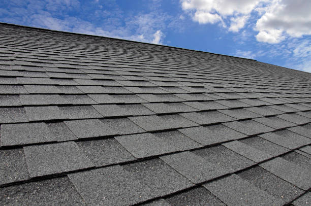 Professional Roofing Service in Hollywood Park, TX